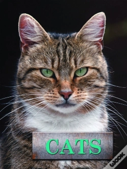 Capa do artigo Cats