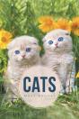 Cats - Preview