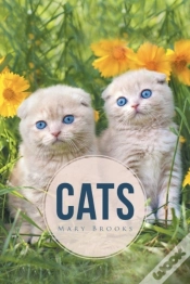 Capa do artigo Cats
