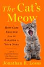 Cat'S Meow - Preview