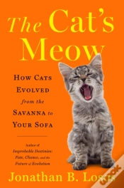 Capa do artigo Cat