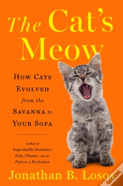 Capa do artigo Cat'S Meow