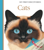 Capa do artigo Cats My First Discoveries