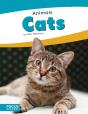 Cats - Preview