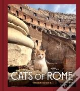 Cats Of Rome