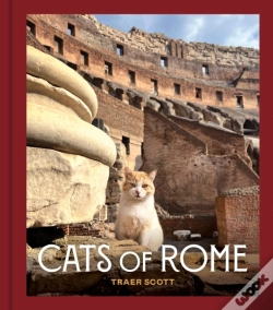 Capa do artigo Cats Of Rome