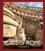 Cats Of Rome - Preview