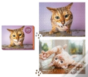 Capa do artigo Cats On Catnip 2-In-1 Double-Sided 1,000-Piece Puzzle