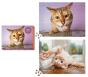 Cats On Catnip 2-In-1 Double-Sided 1,000-Piece Puzzle - Preview