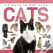 Capa do artigo Cats