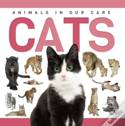 Capa do artigo Cats