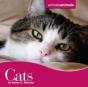 Cats - Preview