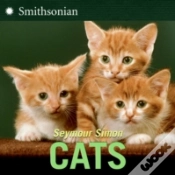 Capa do artigo Cats