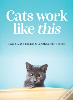 Capa do artigo Cats Work Like This