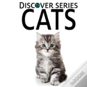 Capa do artigo Cats