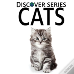 Capa do artigo Cats