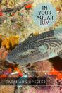 Catshark Species - Preview