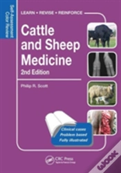 Capa do artigo Cattle And Sheep Medicine