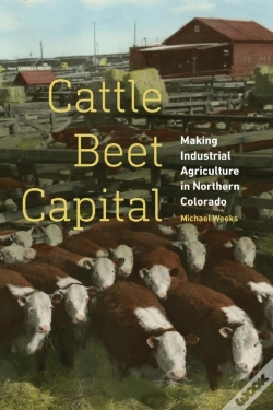 Capa do artigo Cattle Beet Capital