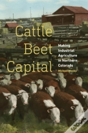 Capa do artigo Cattle Beet Capital