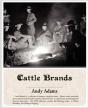 Cattle Brands - Preview