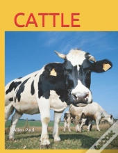 Cattle