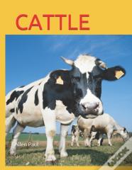 Cattle
