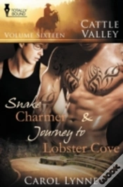Capa do artigo Cattle Valley: Vol 16