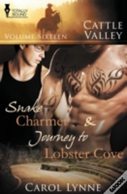 Capa do artigo Cattle Valley: Vol 16