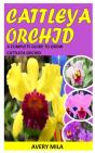 Cattleya Orchid - Preview