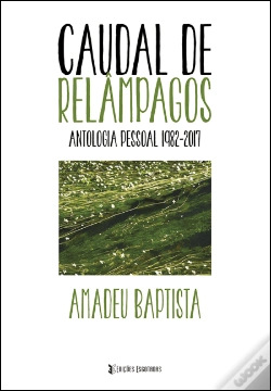 Capa do artigo Caudal de Relâmpagos