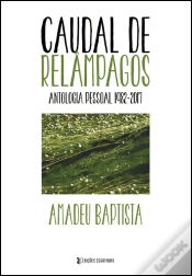 Capa do artigo Caudal de Relâmpagos