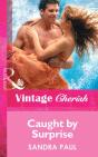 Caught By Surprise - Preview