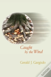 Capa do artigo Caught By The Wind