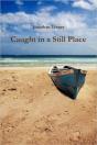 Caught In A Still Place - Preview