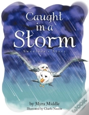 Capa do artigo Caught In A Storm