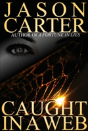 Caught In A Web - Preview