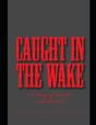 Caught In The Wake - Preview