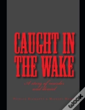 Capa do artigo Caught In The Wake