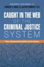 Caught In The Web Of The Criminal Justice System - Preview