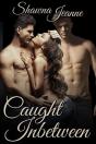 Caught Inbetween - Preview