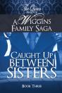 Caught Up Between Sisters - Preview
