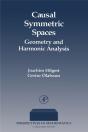 Causal Symmetric Spaces - Preview