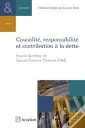 Causalité, Responsabilité Et Contribution À La Dette