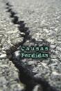 Causas Perdidas - Preview