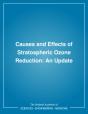 Causes And Effects Of Stratospheric Ozone Reduction - Preview