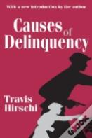 Causes Of Delinquency