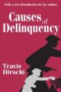 Causes Of Delinquency - Preview