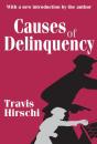 Causes Of Delinquency - Preview