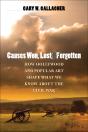 Causes Won, Lost, And Forgotten - Preview